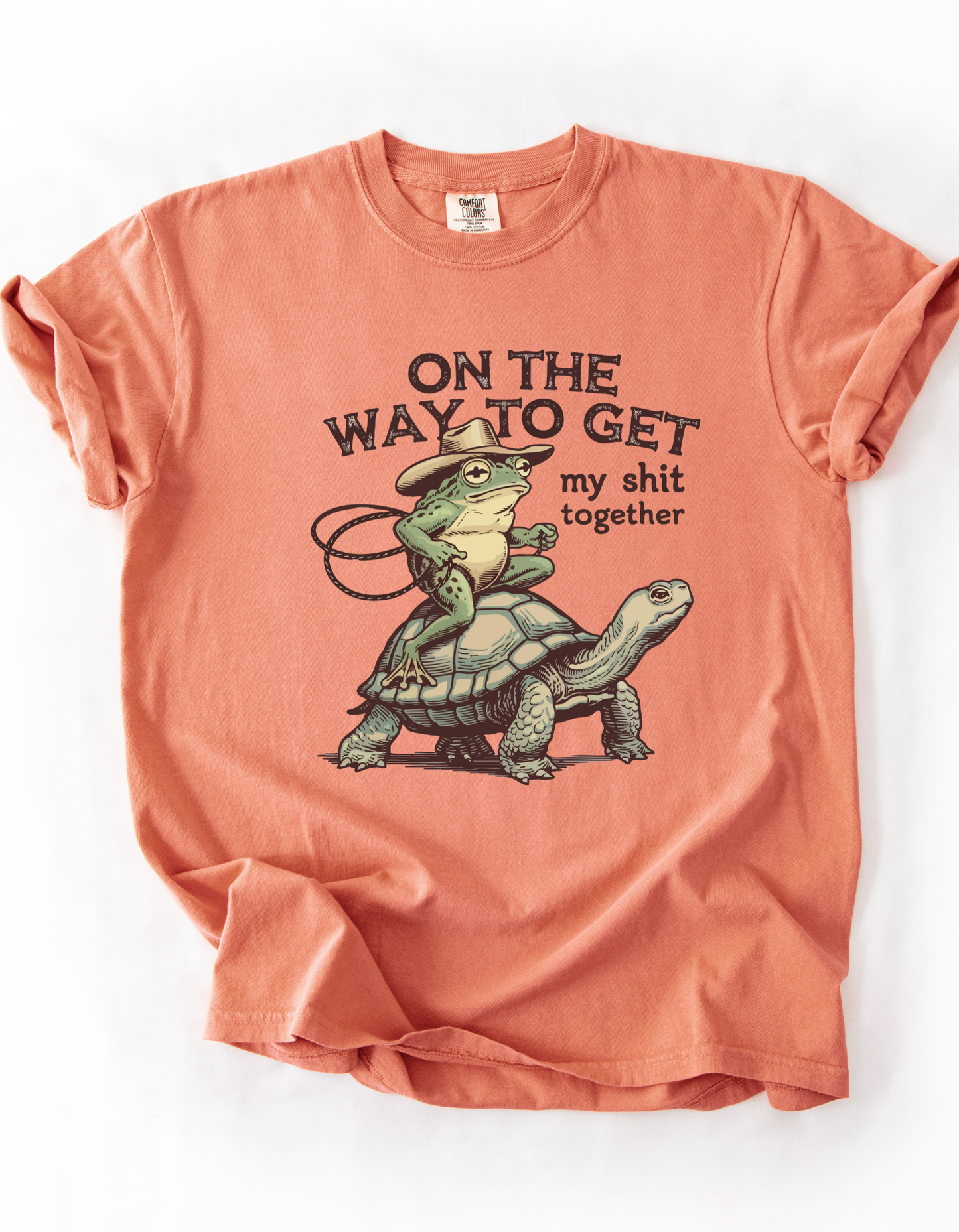 Cowboy Frog Riding Turtle T-Shirt