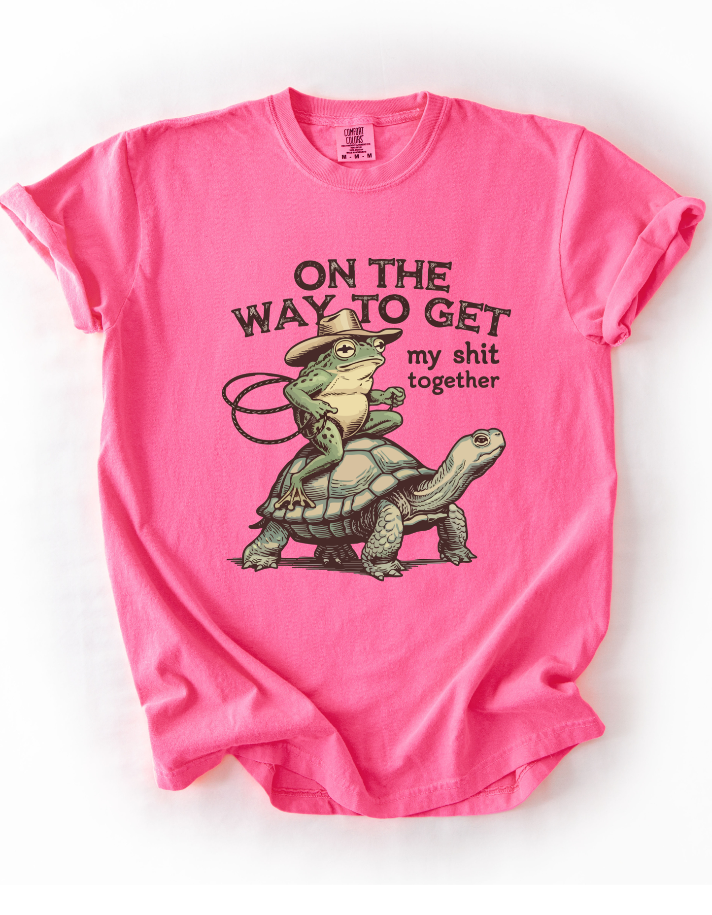 Cowboy Frog Riding Turtle T-Shirt