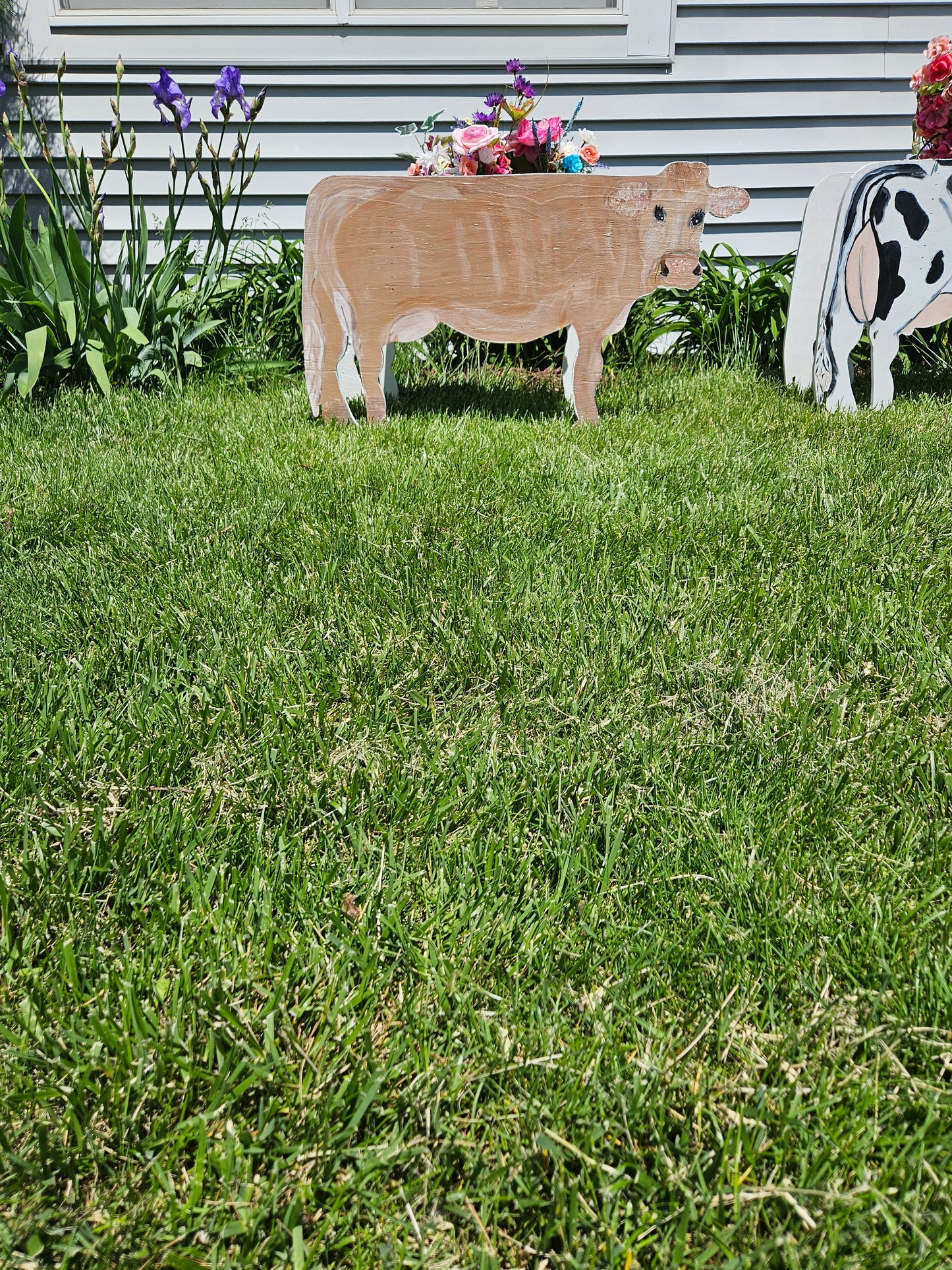 Red Angus Flower Pot