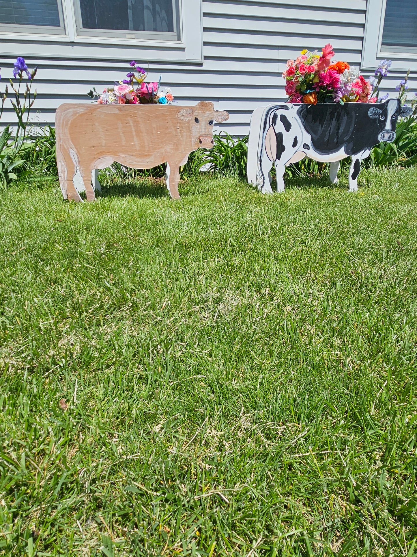 Red Angus Flower Pot