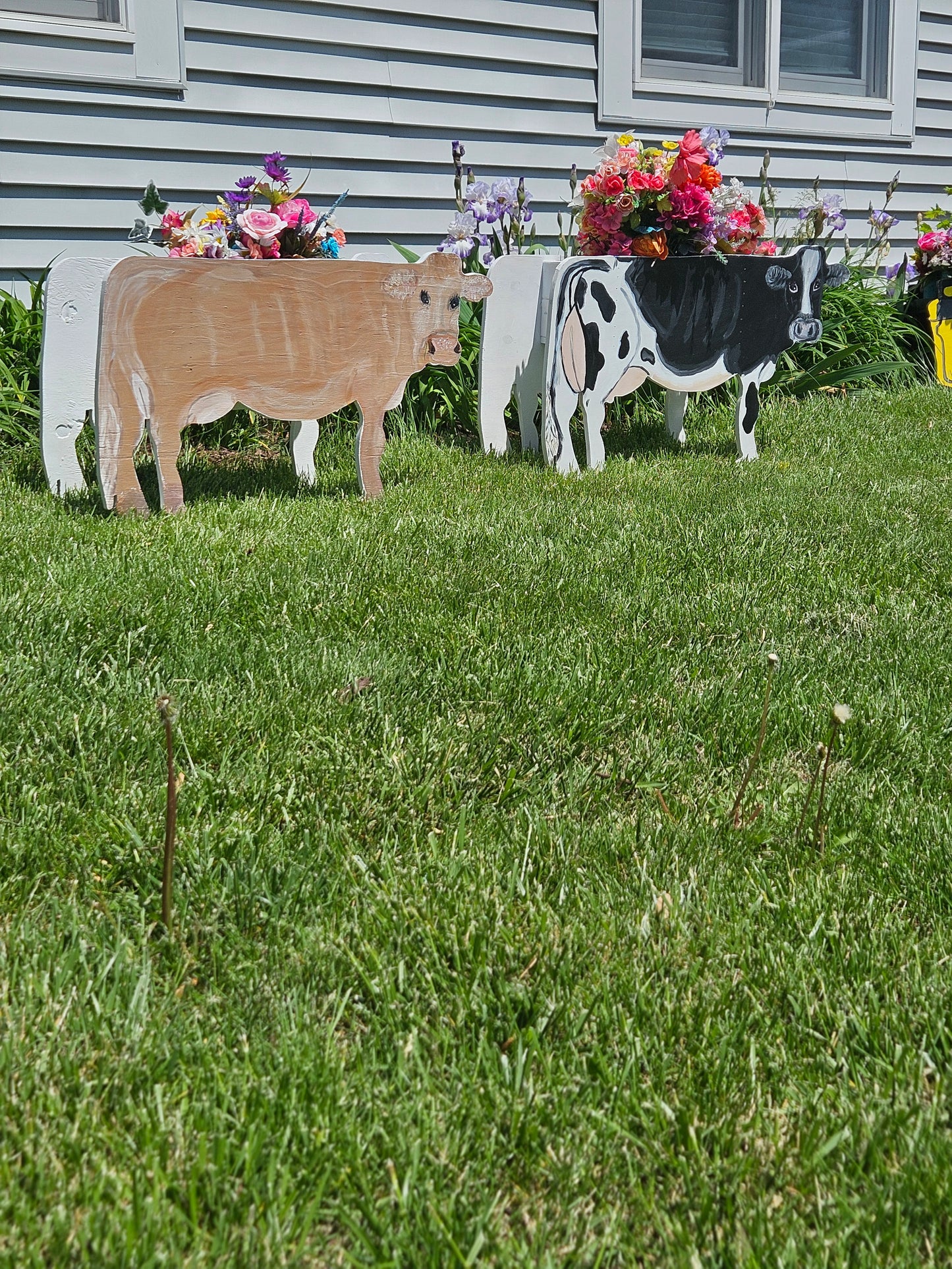 Red Angus Flower Pot