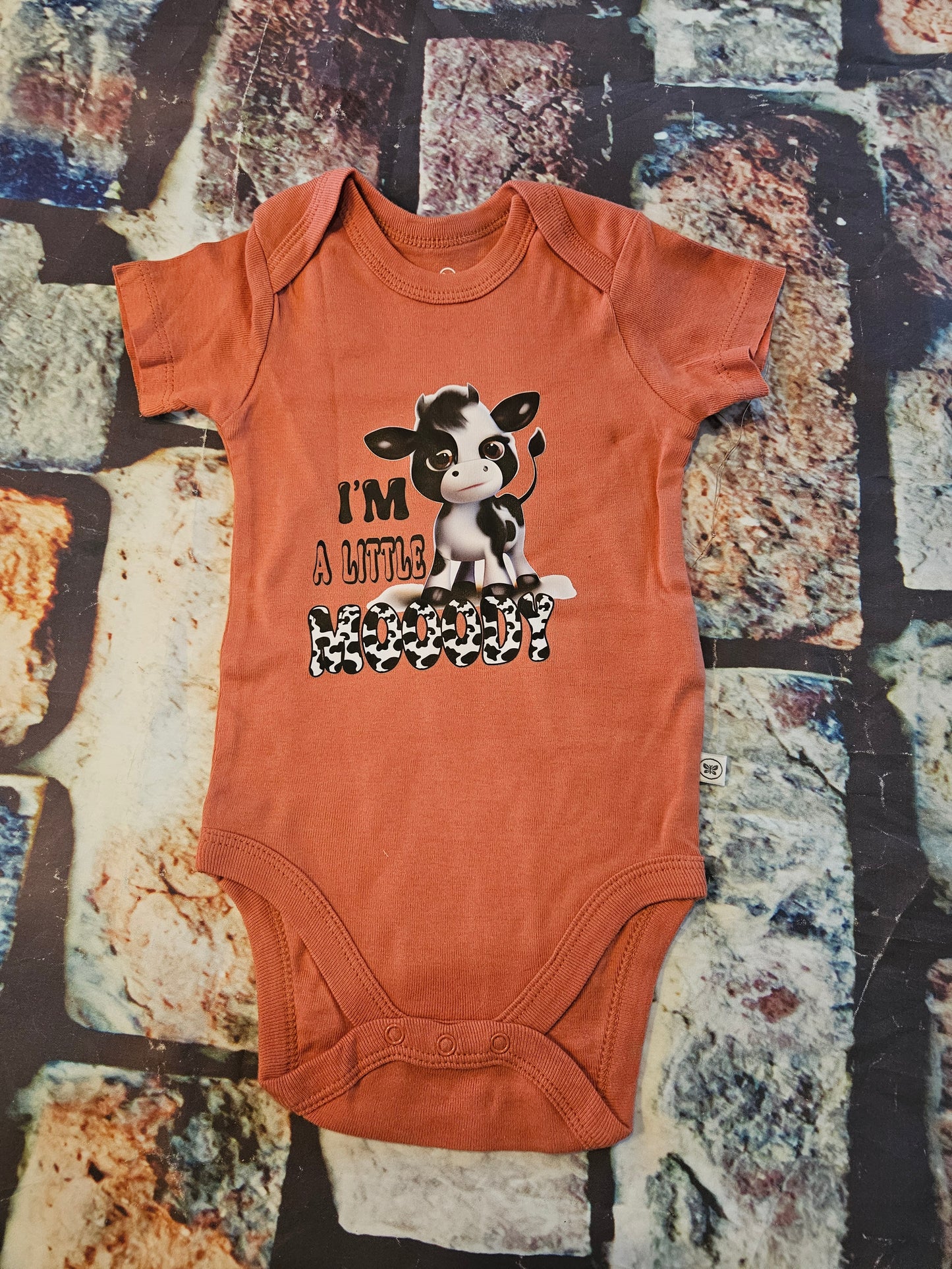 Infant Onesie "I'm a Little Moody"