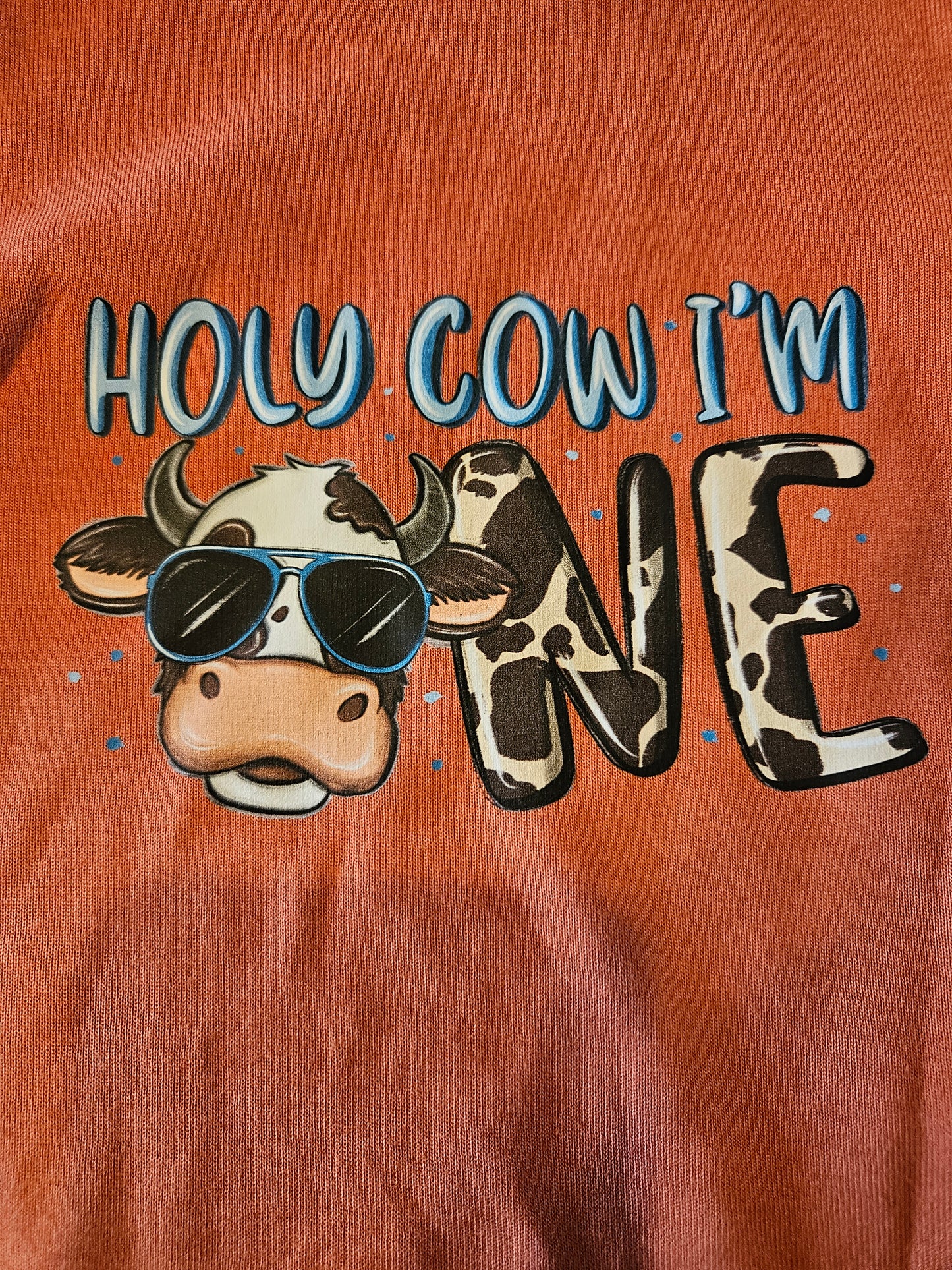 "Holy Cow I'm One" onesie