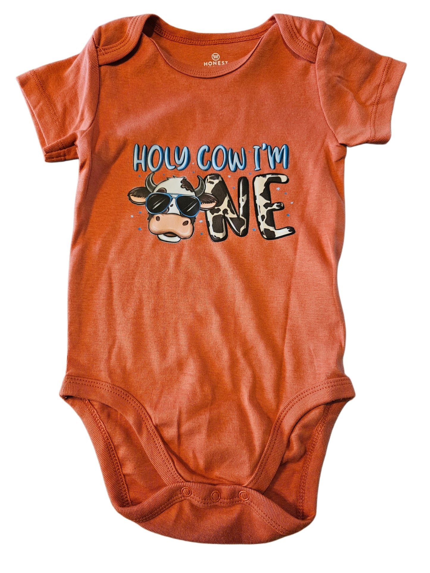 "Holy Cow I'm One" onesie