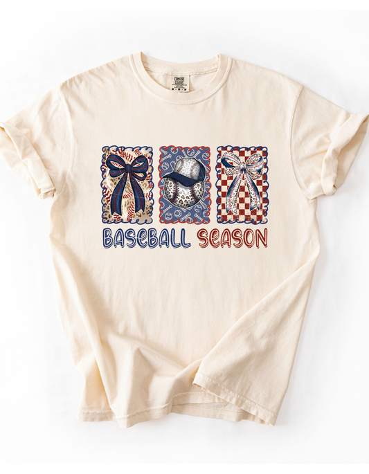 Baseball Season Women's T-Shirt