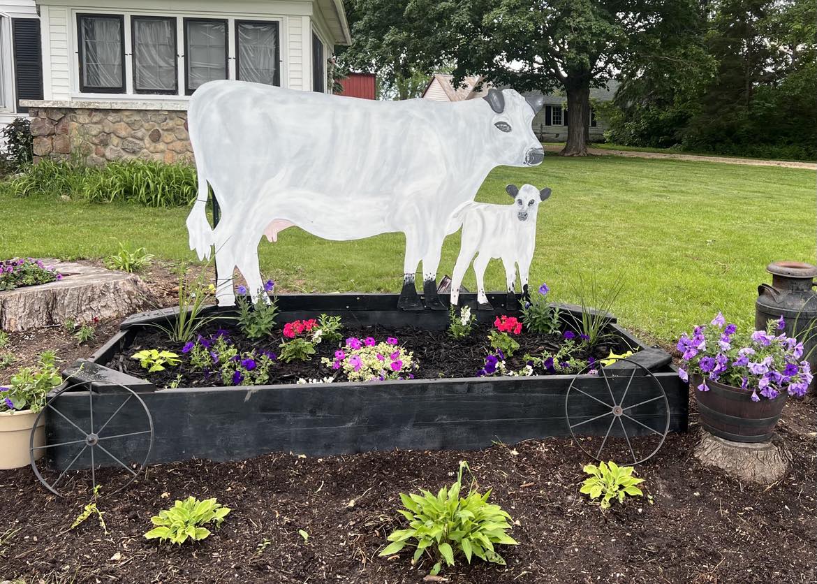 Cow Calf Decor