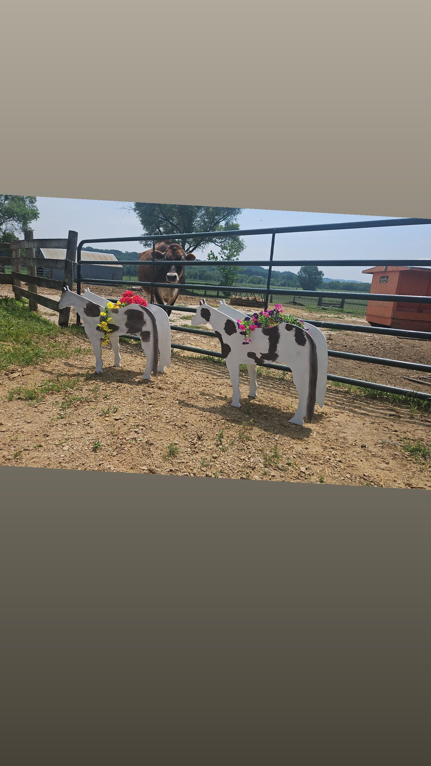 Horse Flower Planter - Customized
