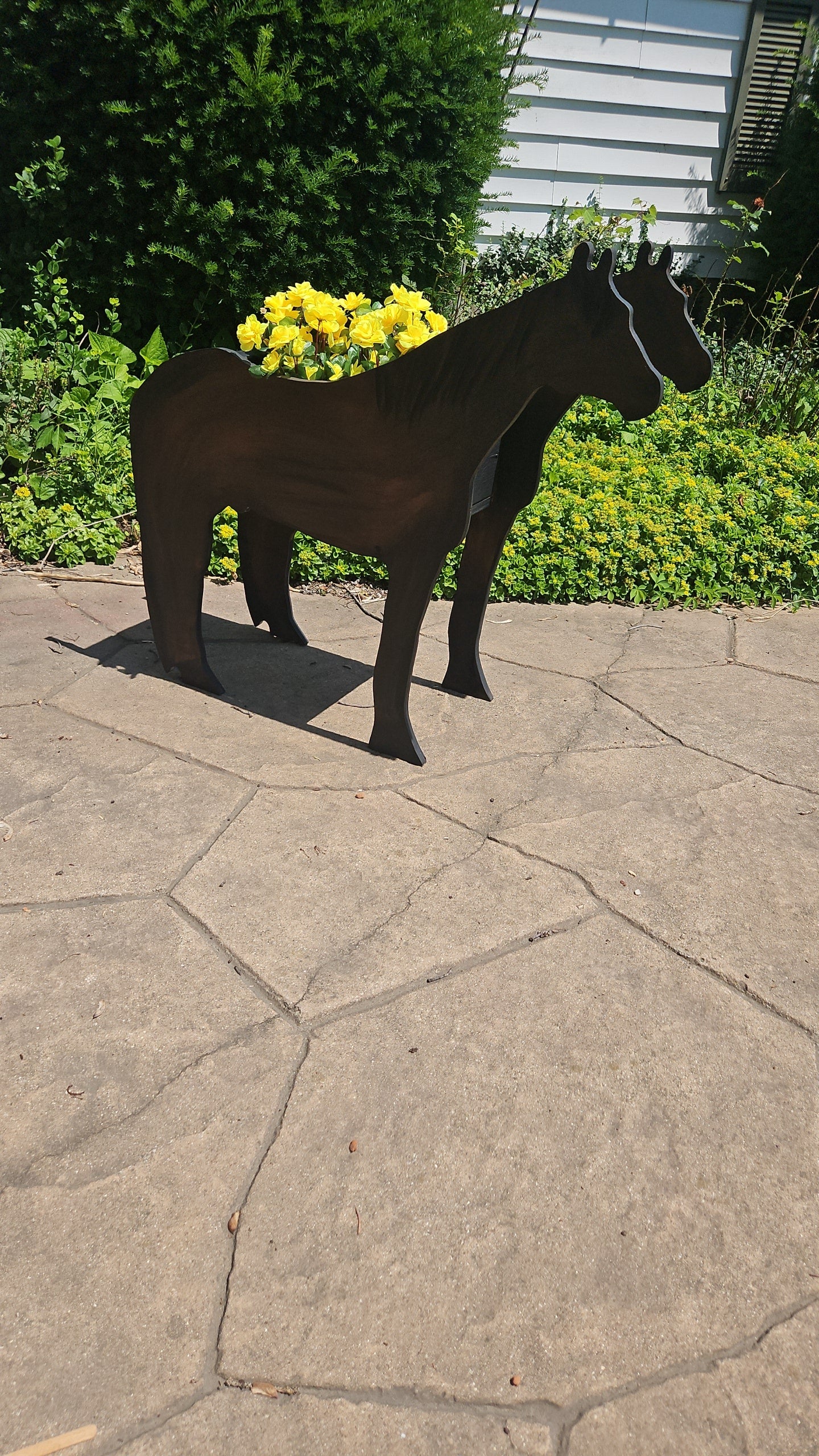 Horse Flower Planter - Customized