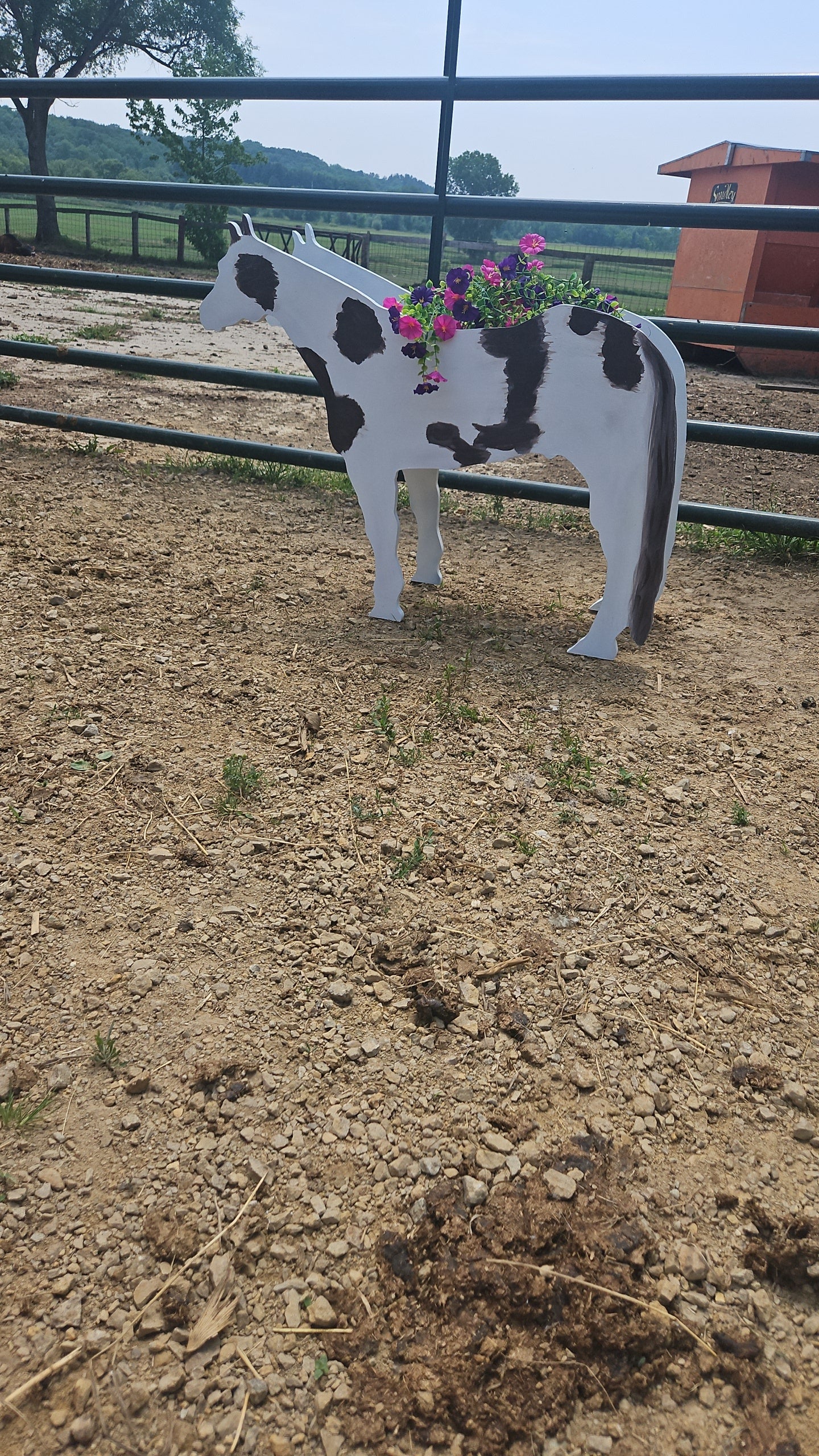 Horse Flower Planter - Customized