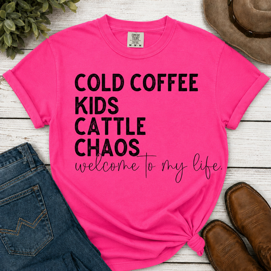 Coffee, Kids, Chaos T-Shirt