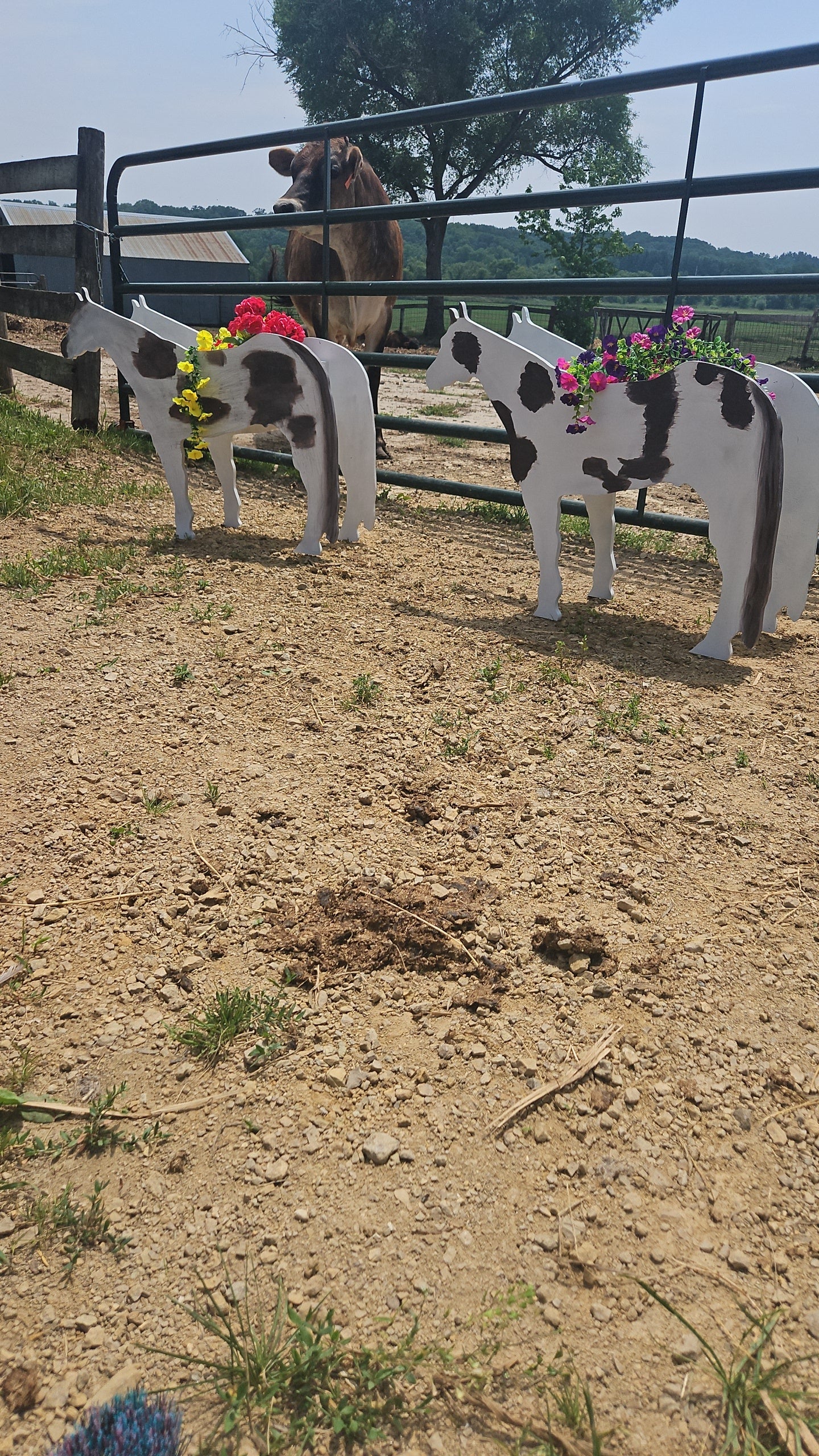 Horse Flower Planter - Customized